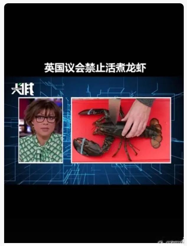 我真的不行了，英国禁止将活龙虾和活章鱼直接水煮，因为他们会感受到疼痛！12月