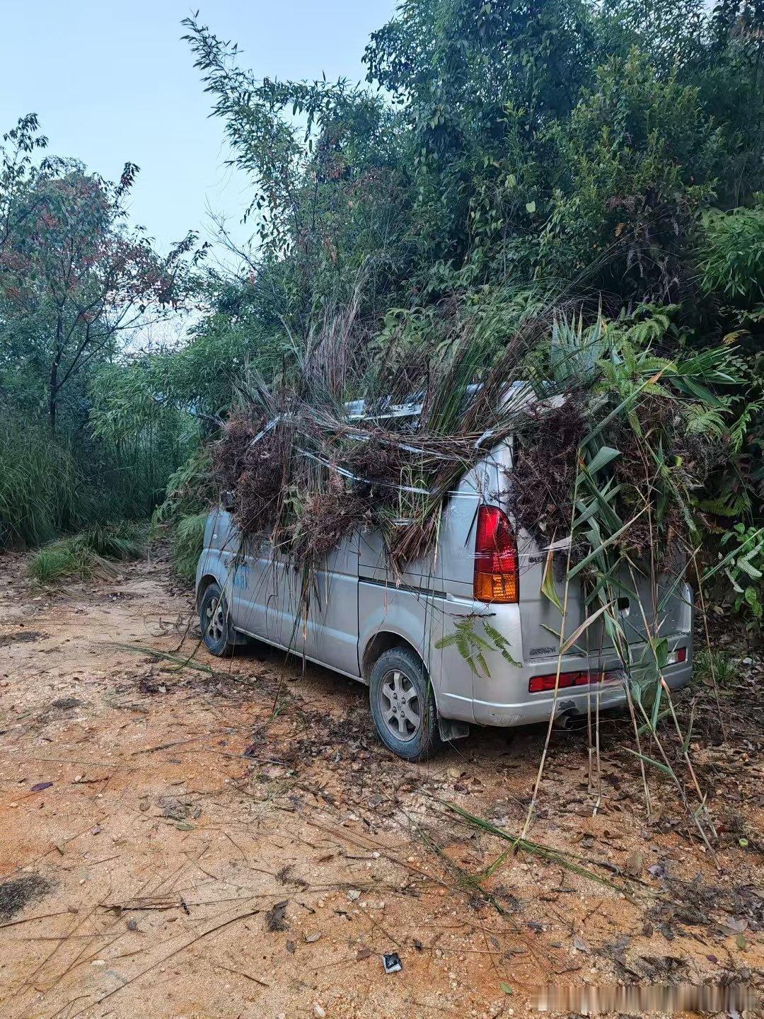 烟台苹果莱阳梨🍐，赶不上潍坊萝卜皮烟台·夹河湿地公园