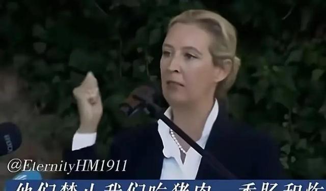 德国真的彻底怒了！魏德尔公开谴责警告想反客为主的中东移民：他们禁止我们吃猪肉、香