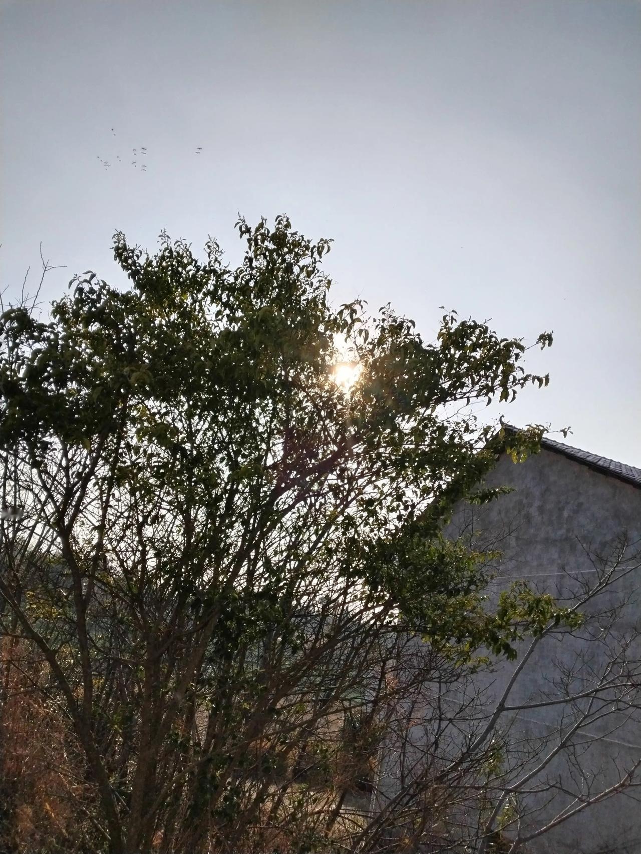 冬日追梦，彩票不大，创造神话！千万不假！买了希望，不买无望！图4摘自网络彩友，