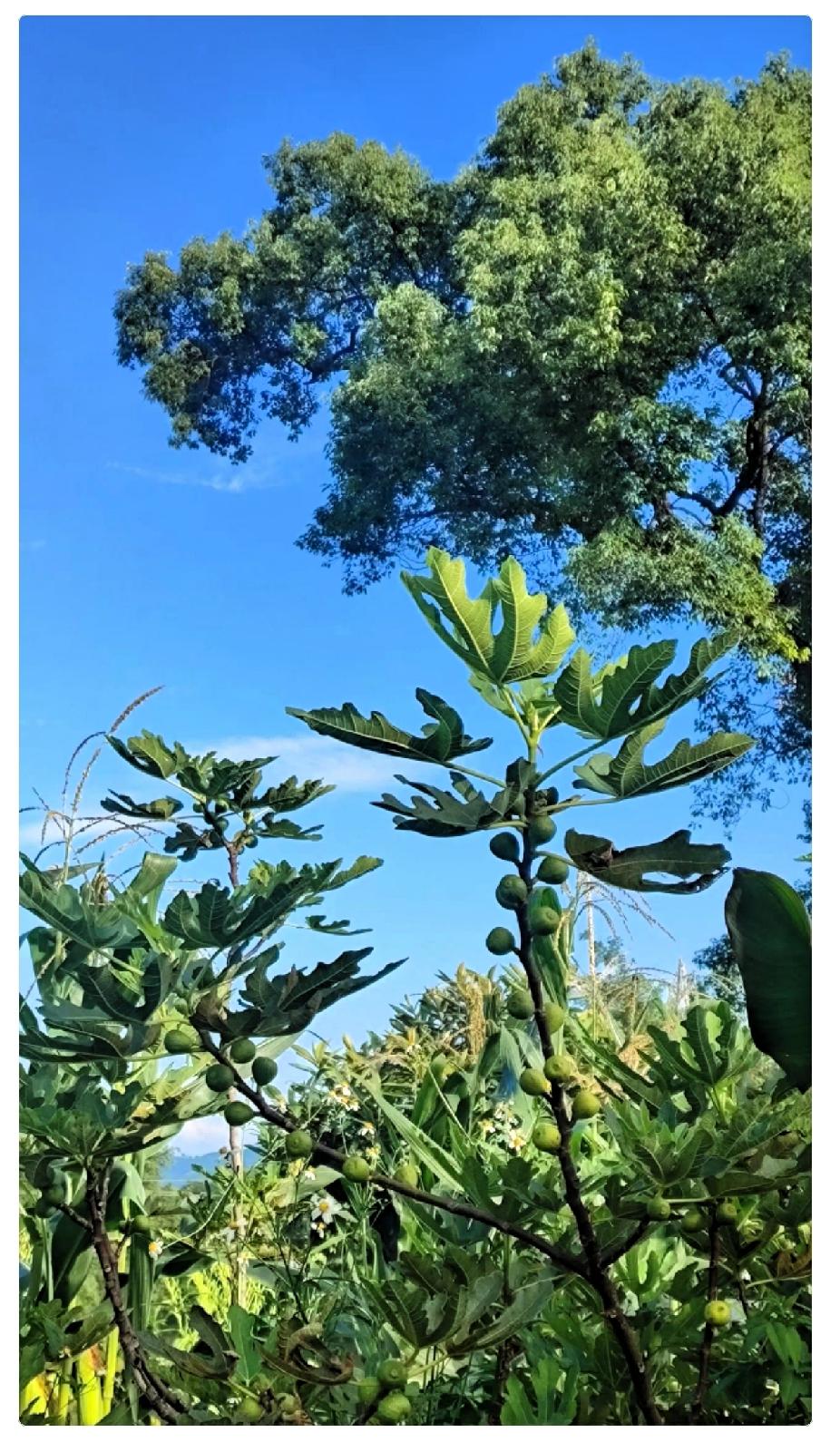 我越来越搞不懂中年男人了。我老公，41岁，月薪1.8万，昨天突然和我说：看到