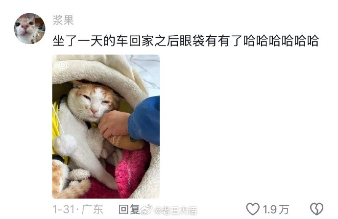 果然任何物种坐车都会变得憔悴哈哈哈哈哈哈哈