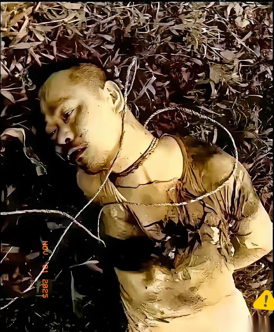 那张1950年台北马场町那张处决照,老蒋第二天就攥得死死的。他要的根本不是什么