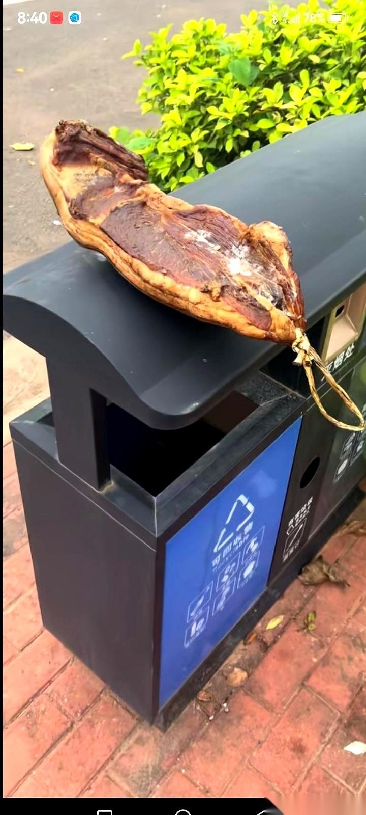 那块腊肉，最后还是没能进家门。四川老友，翻山越岭寄过来的心意，被我老婆一句“都