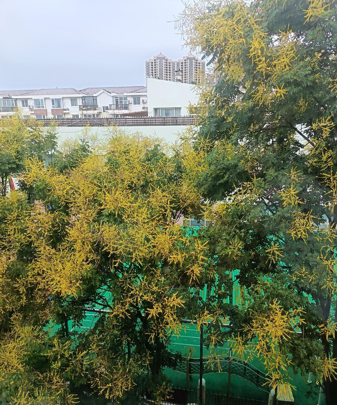 坐网约车的时候，和黑黑胖胖的中年司机师傅聊天。正好路过一所学校，司机师傅说：你
