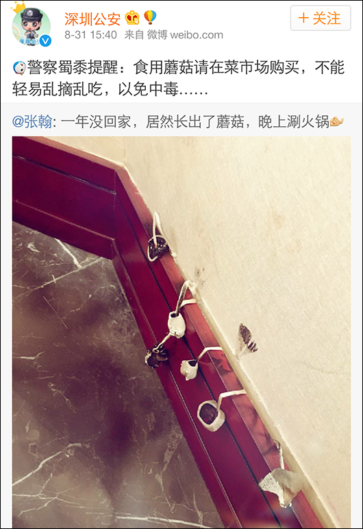 深圳公安官微提醒张翰蘑菇有毒 盘点那些年被警察蜀黍盯上的明星