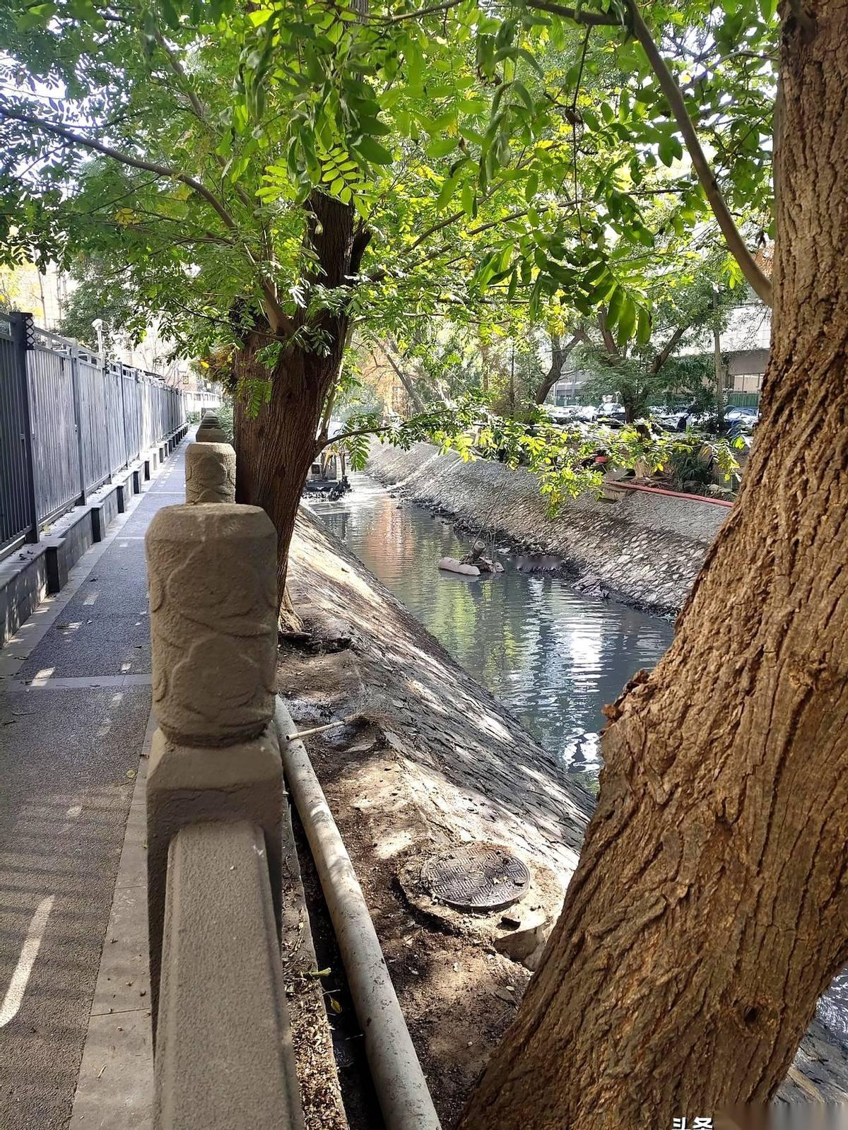 两台挖掘机，就那么大喇喇地，开进了600年的御河里。我今天路过五马桥，差点没站