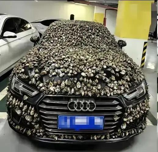 一分钱不要，也得让你长记性！”业主车位被霸占10天，一怒之下做了这种事。他没有找