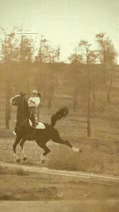 这匹烈马真狠啊！把背上的女人狠狠的都下来还不算，还要使用必杀技后踢腿去暴击女人的