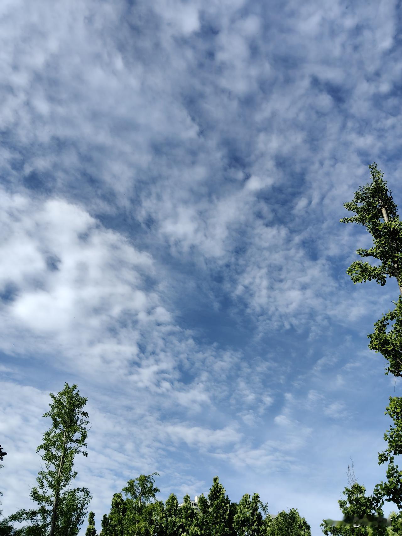 其实文理科各有千秋、平分秋色，没有绝对的好坏。对我来说理科会是首选，但文科同样不