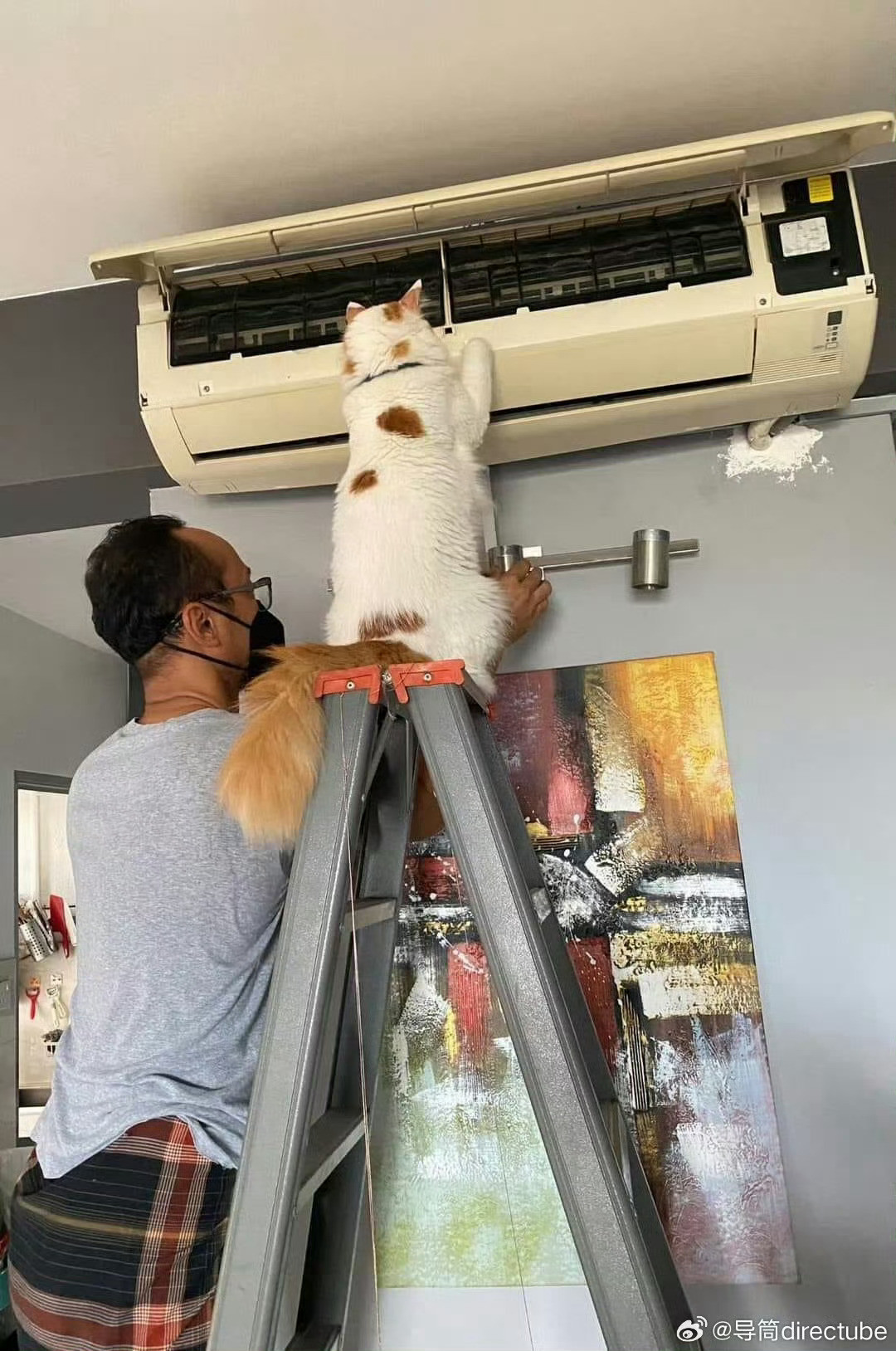 三个月没修好的空调，让猫咪修好了[抱抱]​​​