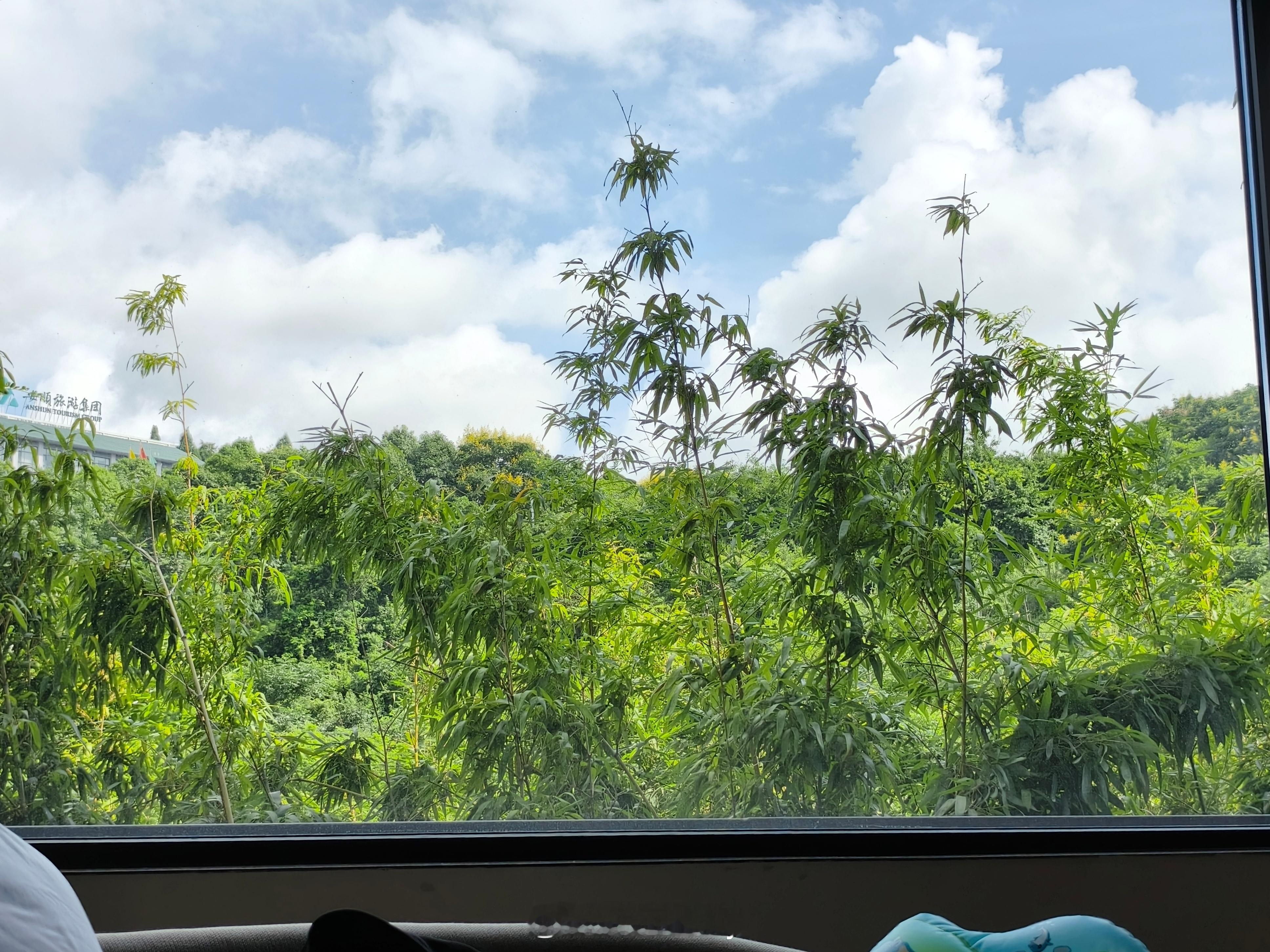 我这都徒步一圈把🚗油加满逛回来葛优躺床上歇着了我家那位刚带着俩娃吃早餐你说说这