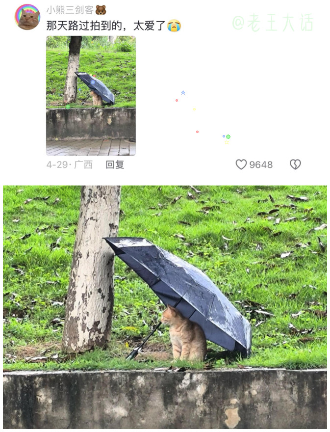 猫学长的KPI：每天随机拦下一位大学生，带他去自动贩卖机“进贡”。