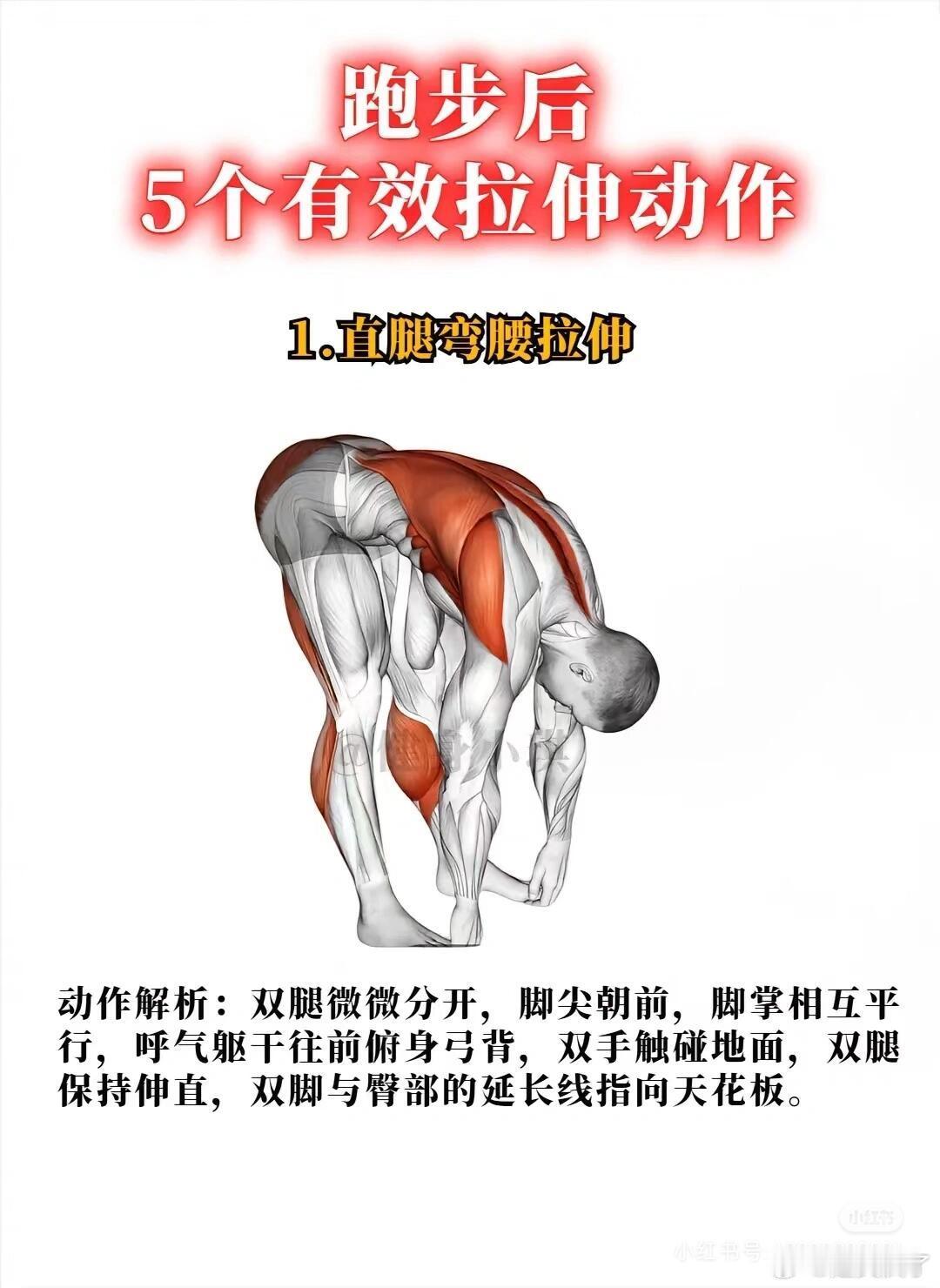 跑步后5个有效拉伸动作跑完步一定要记得拉伸，这样肌肉才不会酸痛，五个黄金拉伸动作