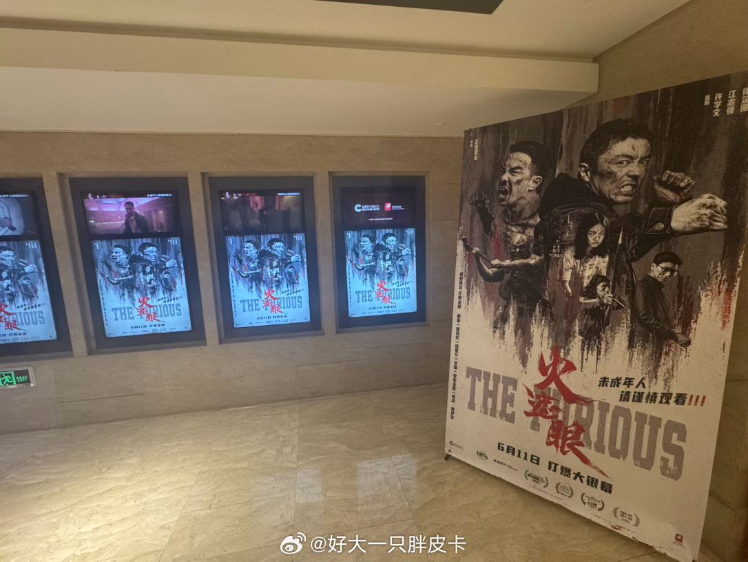 电影《火遮眼》北京首映礼，好久没看到像这样拳拳到肉，爽到天灵盖却又看得肉痛的爽片