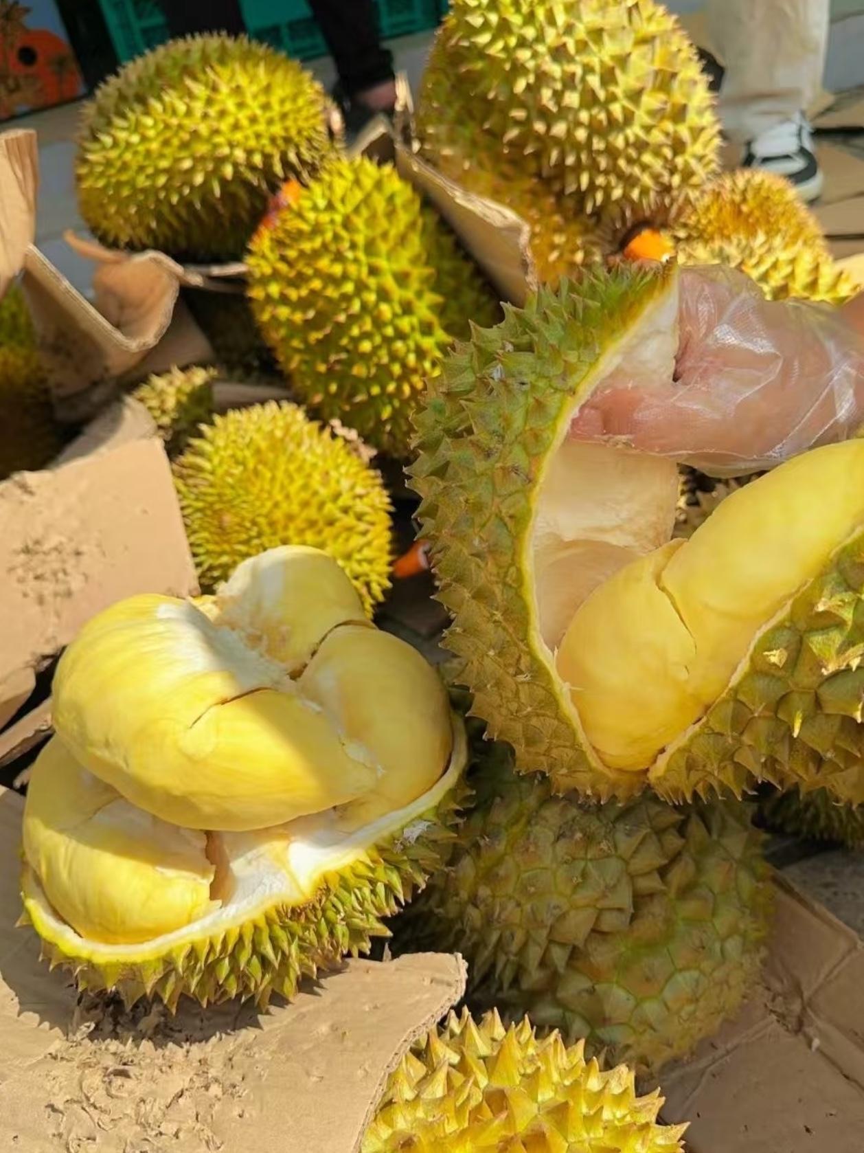 榴莲不查不知道一查，我真的炸裂每个月发了工资，我会奖励自己一个榴莲，家里孩