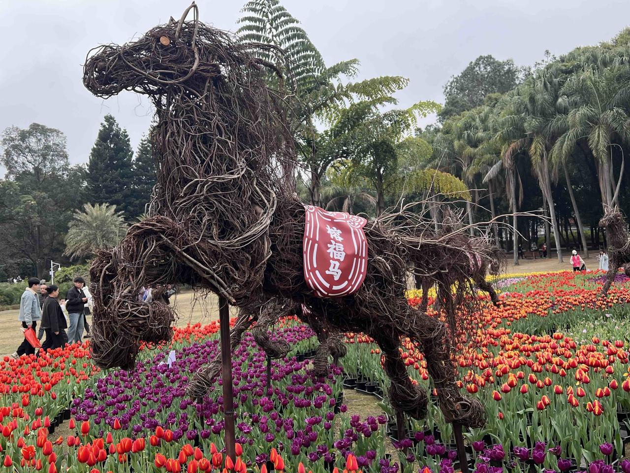 记录我的2026在福州森林公园郁见春天