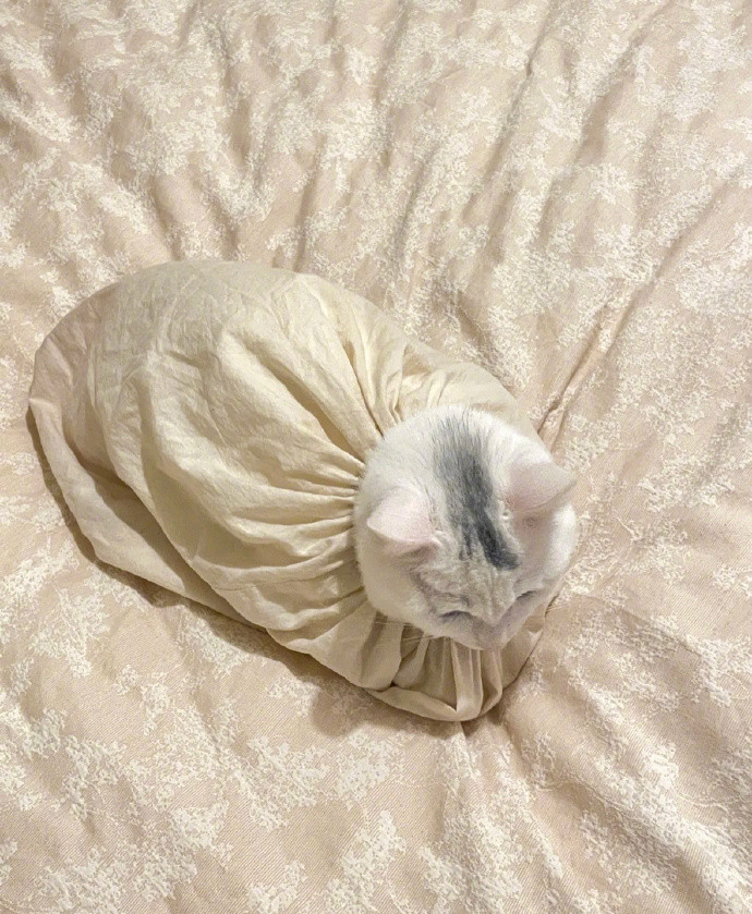 干坏事被强行封印