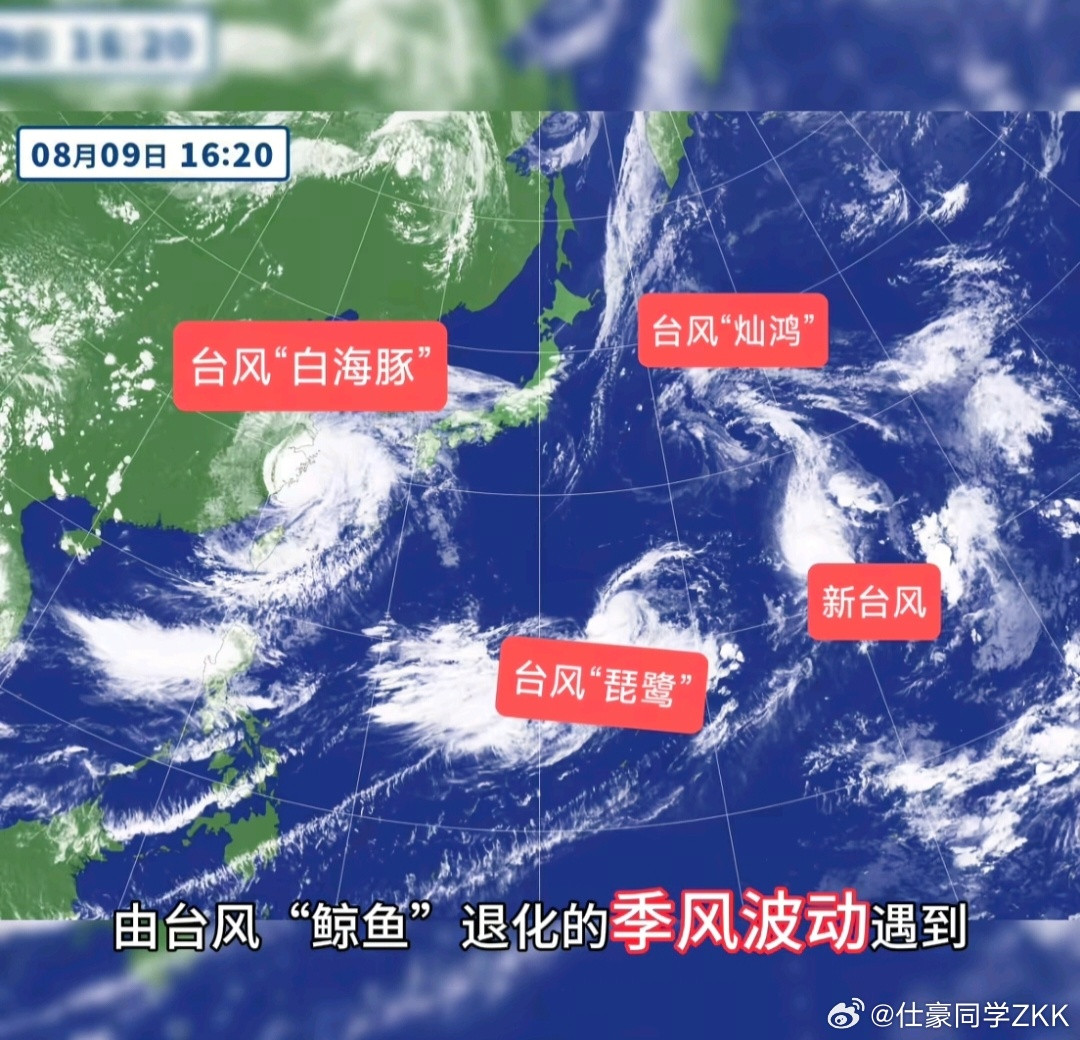 台风琵鹭来了白海豚刚要登录，琵鹭又来了，今年16号台风生成，台风琵鹭未来其不会有