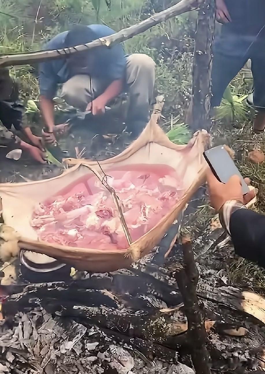 羊估计做梦都没想到，自己的皮被用来煮自己的肉[捂脸哭]