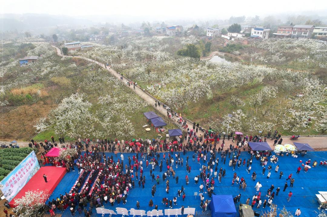 简阳东溪街道梨花沟景区赏花活的正式开幕！3月7日，东溪街道“村糖会暨梨花沟赏花活