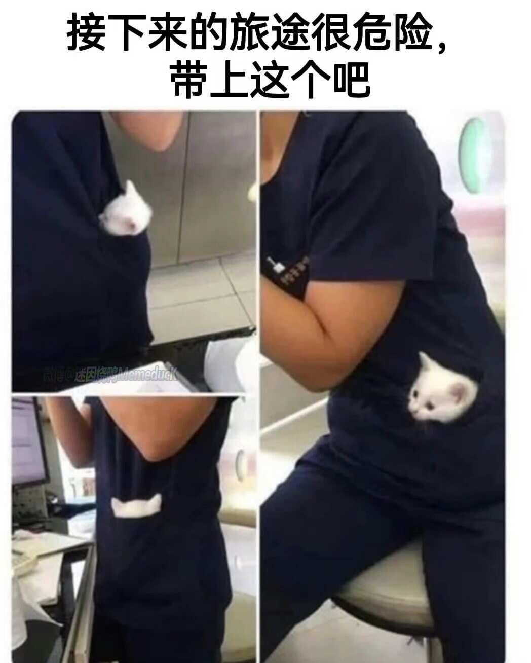 周末的一些梗图梗图合理但有病此图有梗想象与现实莫名其妙击中笑点看似离