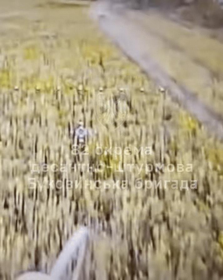 乌军Fpv无人机把自家的装甲车给炸了，还放到网上做宣传片炫耀，这也太尴尬了吧！乌