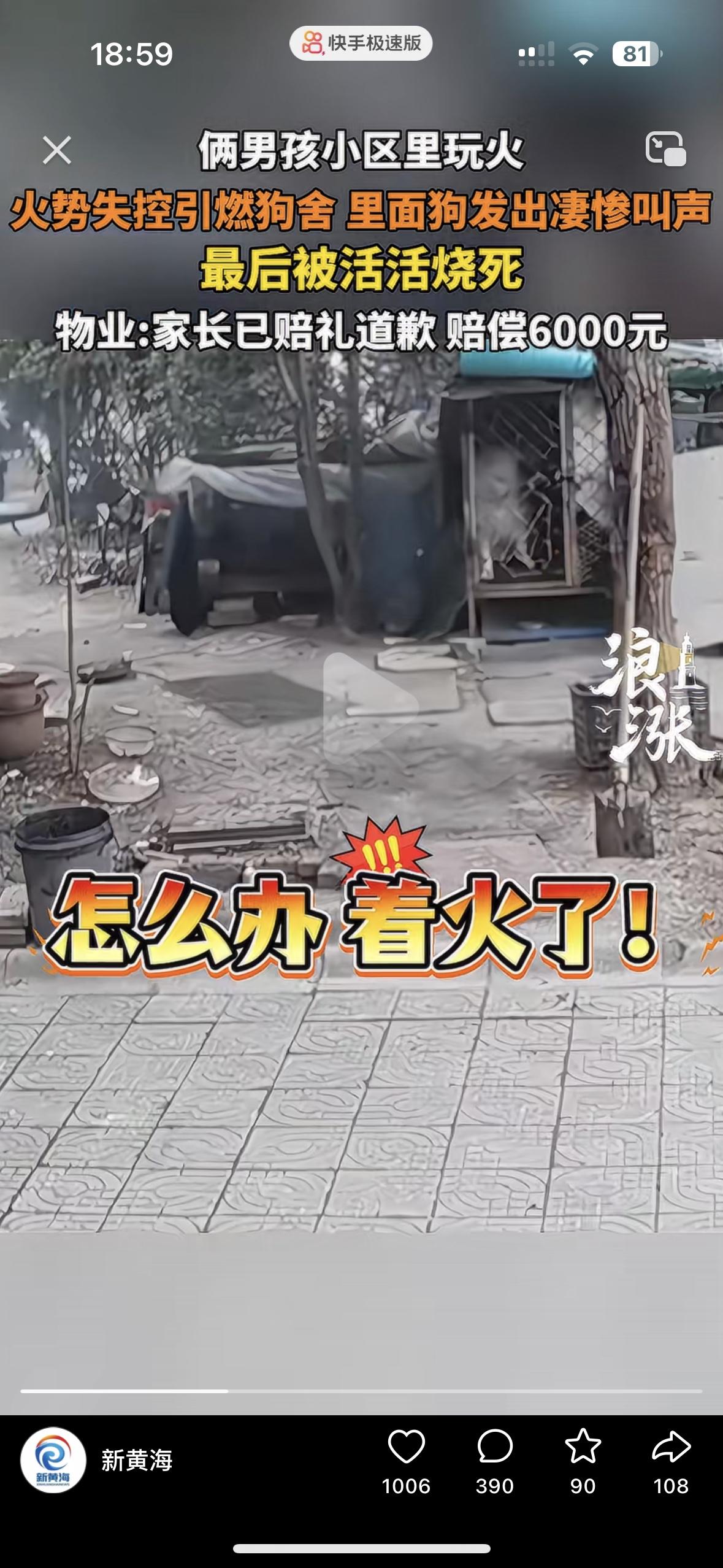 看的太让人气愤了！明明可以救它，却让它被活活烧死2个男孩在小区里玩火，没想到火