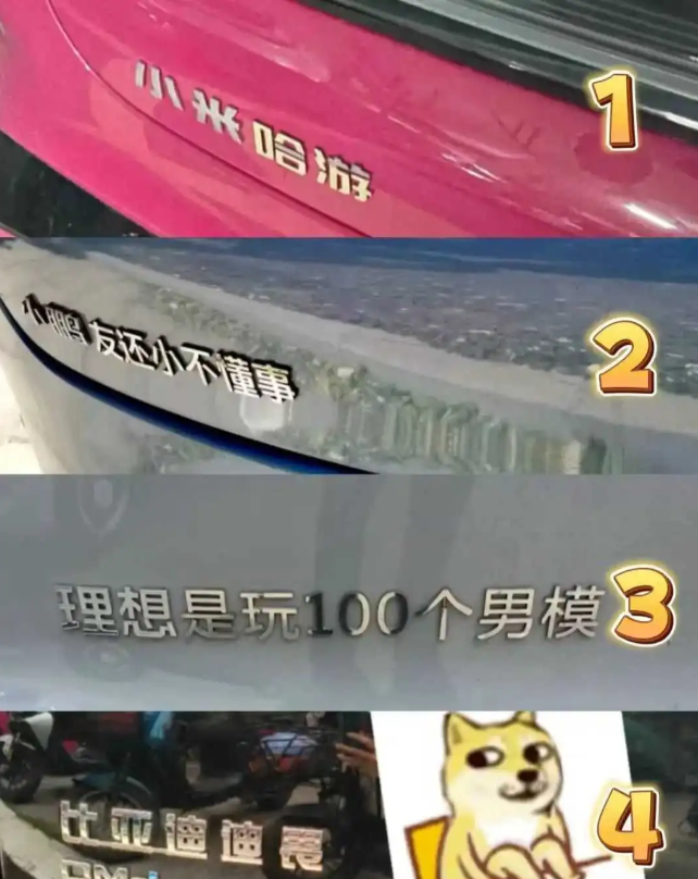 这届车主还真是有才华。