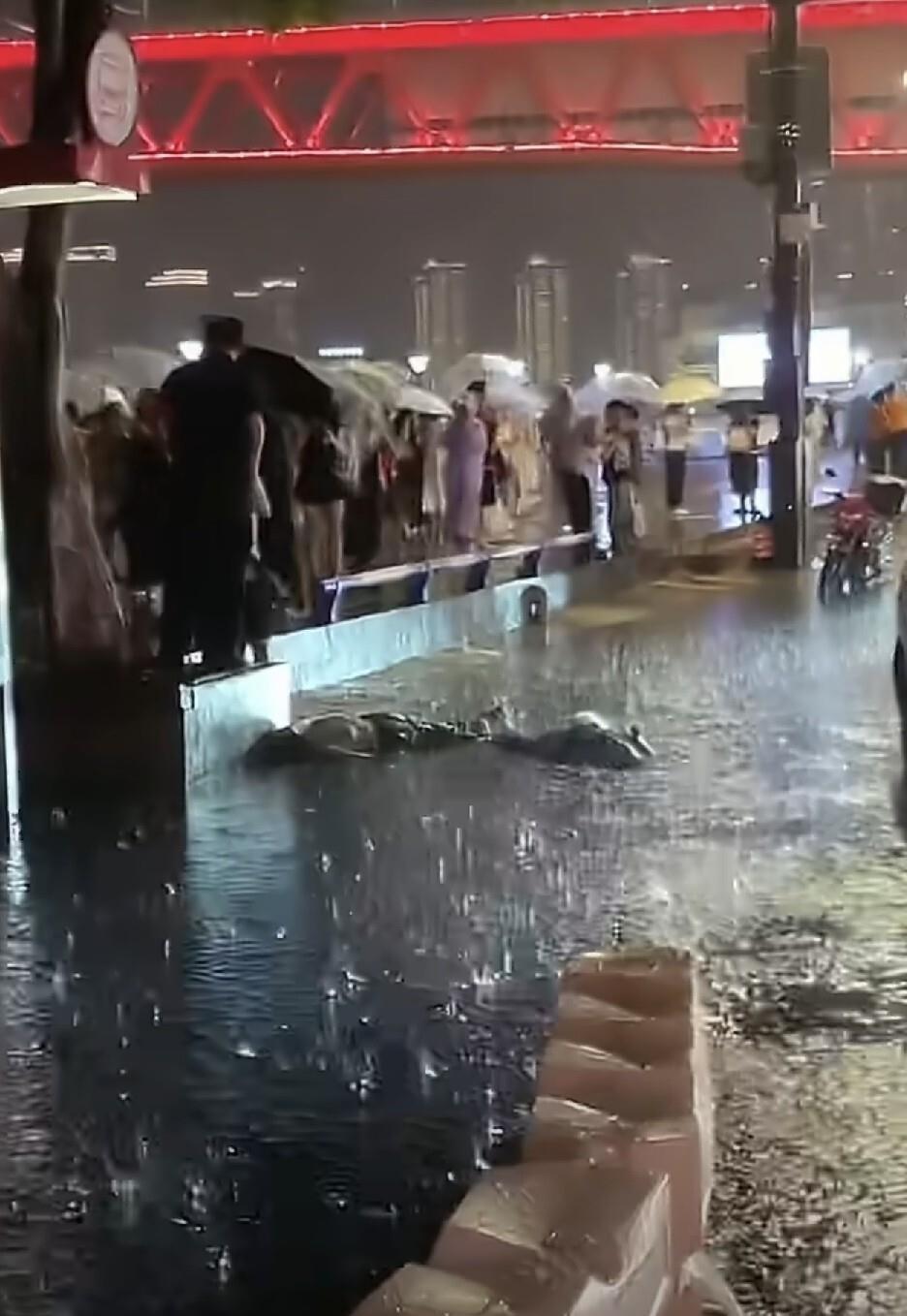 重庆雨夜街头，两个人走着走着突然倒地昏迷，这事儿就发生在8月25号晚上渝中区嘉滨