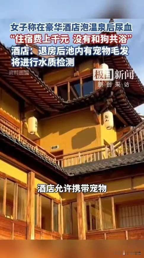 严查到底！近日，四川成都，一女子花费千元，带着狗住进一家豪华酒店，可女子在泡过房