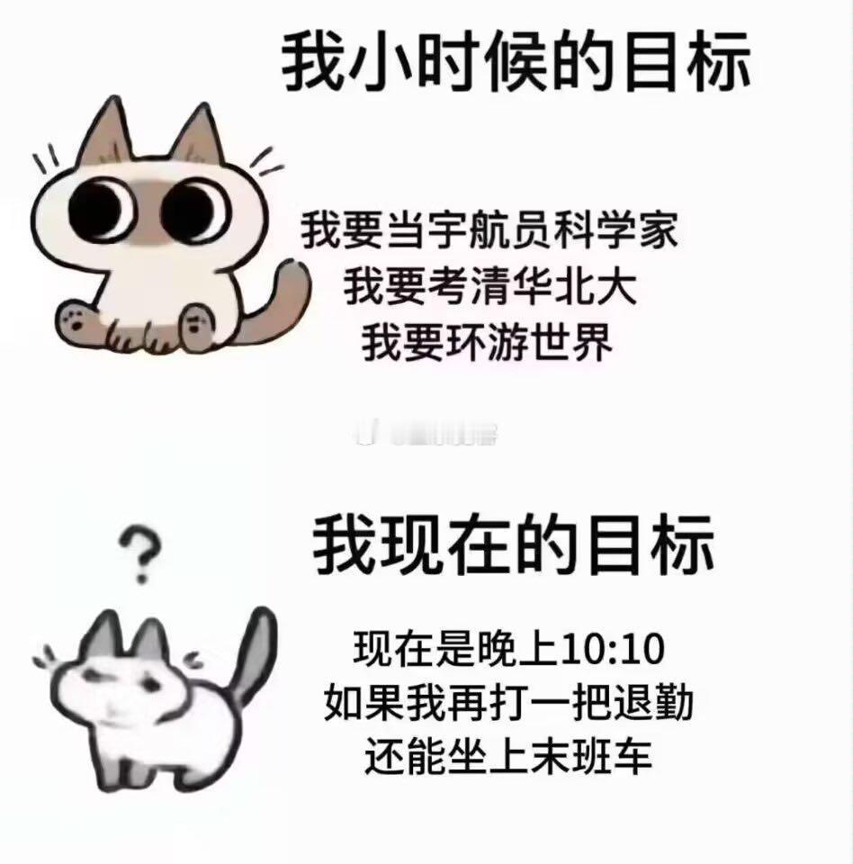 年纪越来越大，目标越来越小​​​