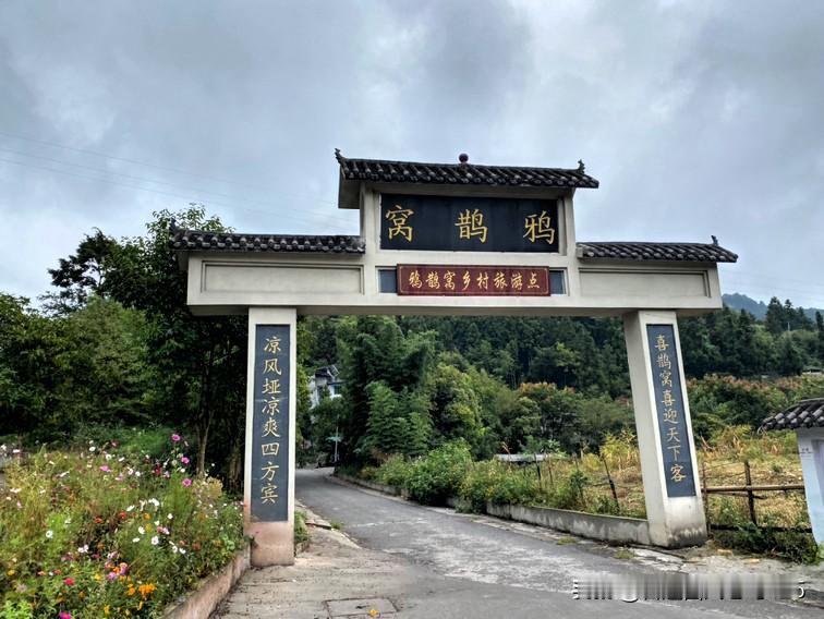 重庆人路过，寸草不生。这话虽说得夸张，缘由却是重庆刚降温，贵州这边落了雨便跟
