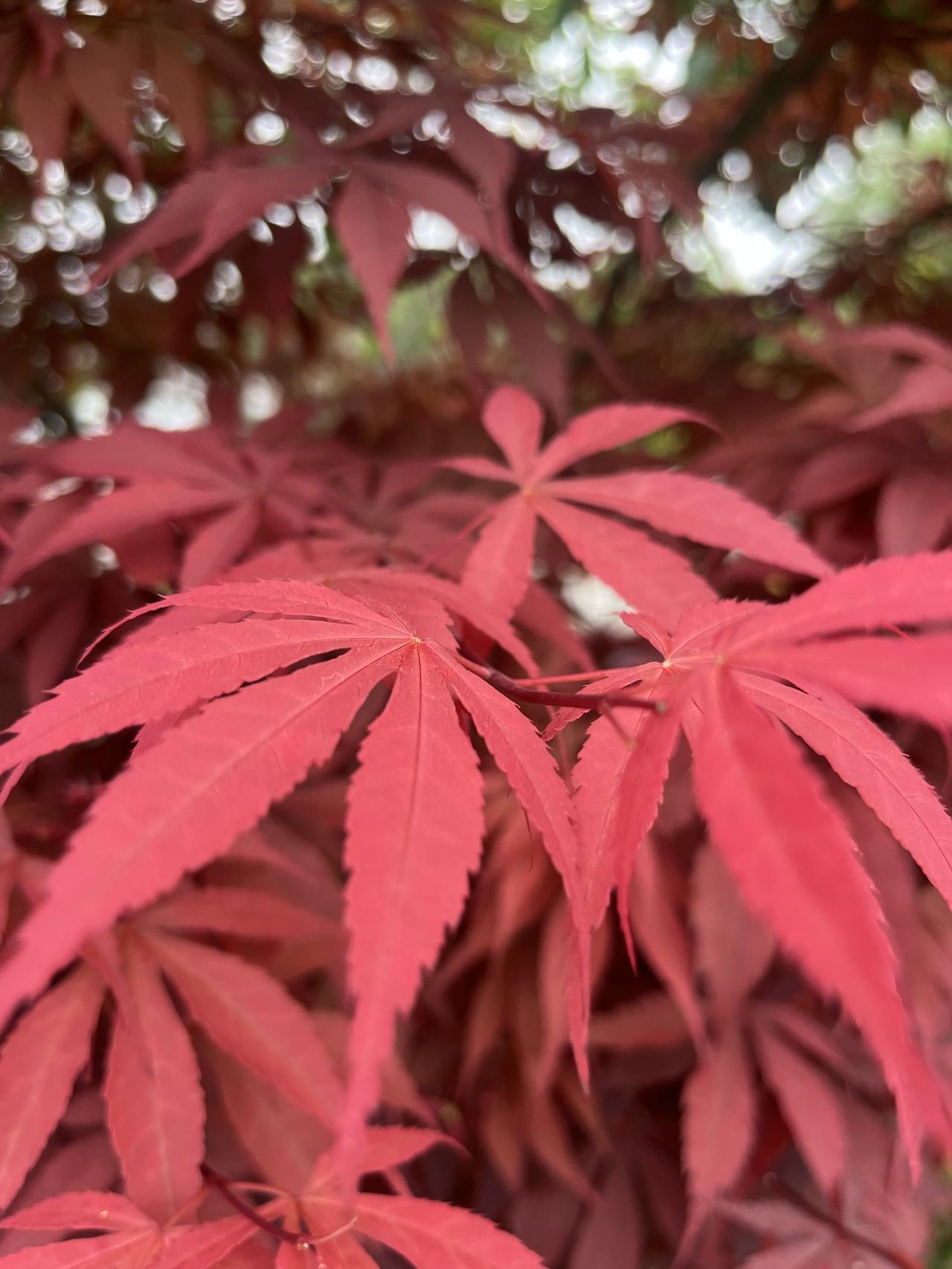 身体不哄你，但你也别哄身体。养生这玩意儿，补品堆不出好命，小习惯才是续命的根。