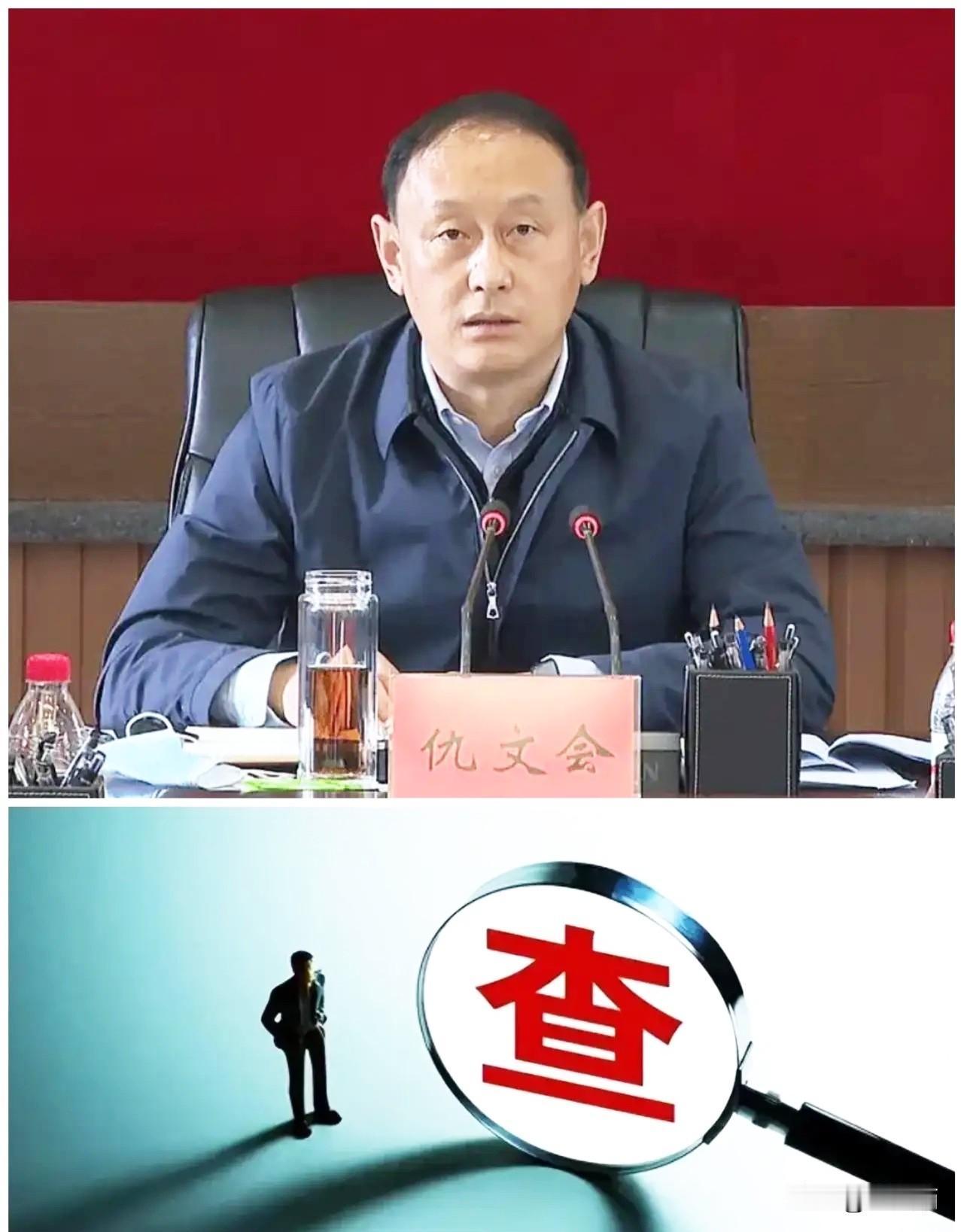 当了一年副市长屁股还没坐热，仇文会就栽了。8月3号这消息一出，确实挺让人那啥