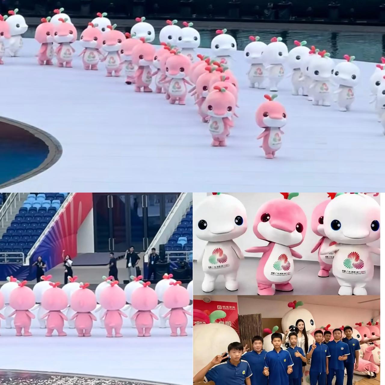 家人们，谁懂啊，我今天刷了一天的“大湾鸡”，结果告诉我这一群是海豚不是鸡