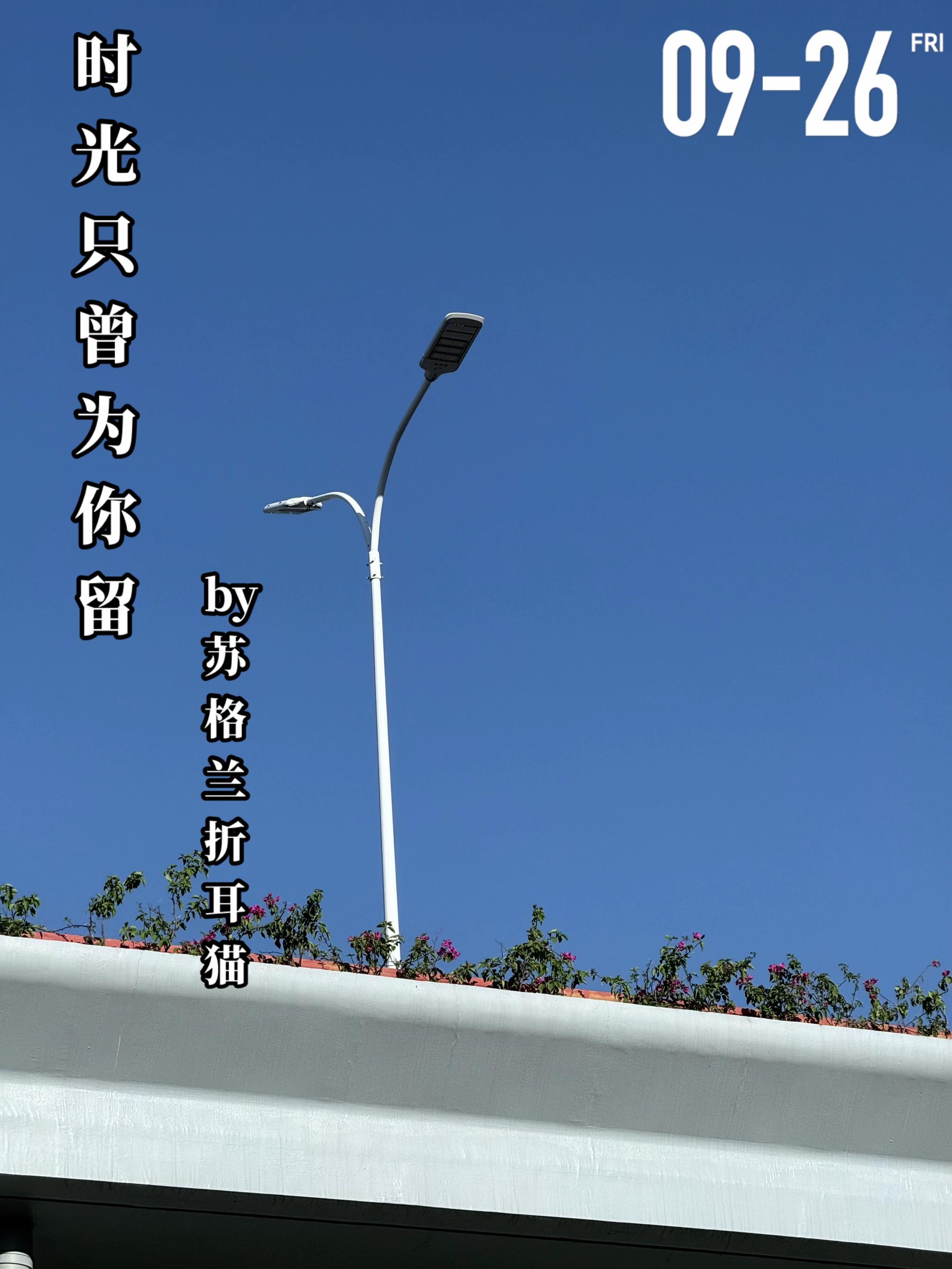 《时光只曾为你留》by苏格兰折耳猫。失去父亲的温远（女主）从小就寄养在...