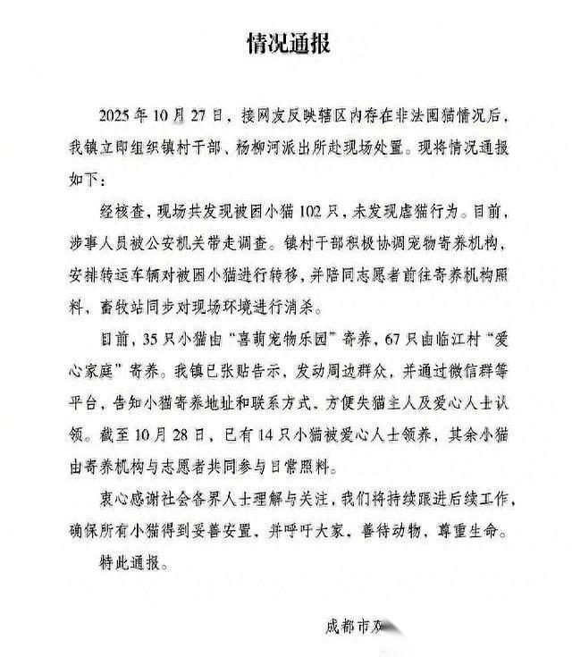 102只猫。关在一个空房子里。我看到这新闻的时候，整个人都懵了，后背发凉。