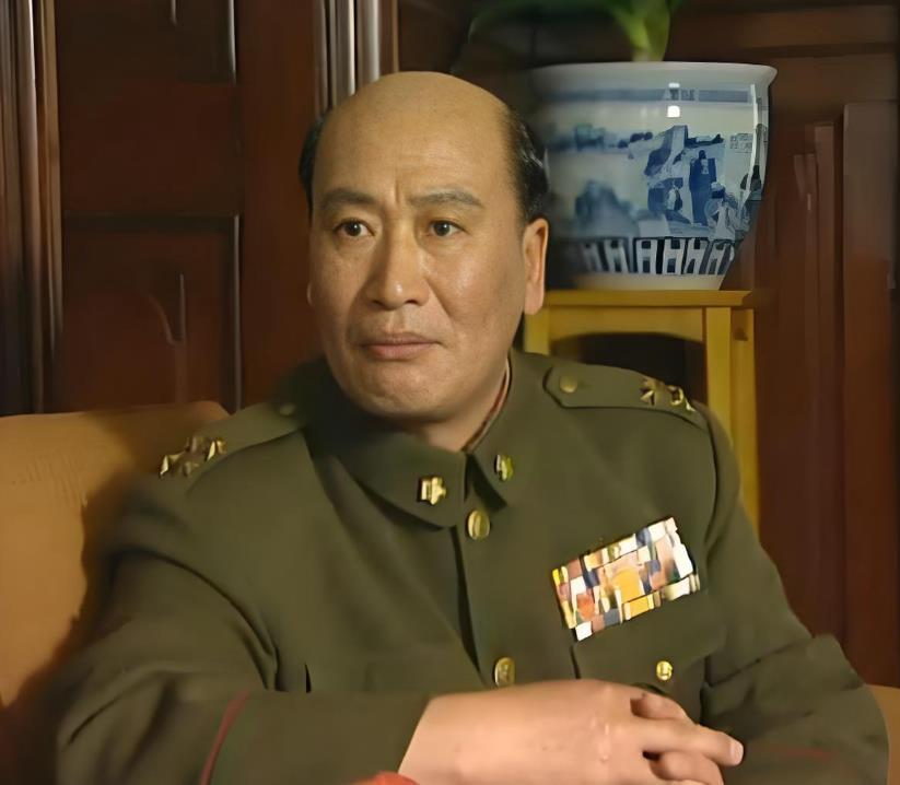 如果白崇禧真的往越南打，能打下那里吗？网友是这样回答的，这个计划很好啊，好的像