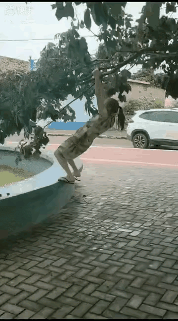 第一张动图，一位女士用力下拉树枝锻炼，看着都感觉那棵树真痛！第二张动图，火车卧