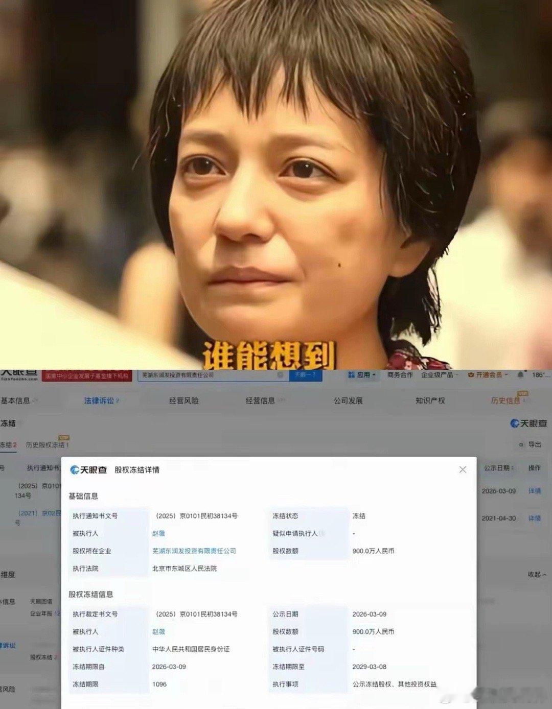 赵薇这回是彻底被“封”住了。刚看到消息，北京东城法院出手了，把她在芜湖那家公司9