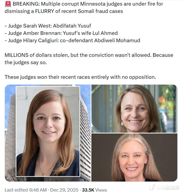 多名明尼苏达州涉嫌腐败的法官驳回了近期大量涉及索马里裔的欺诈案件。•法官莎拉·