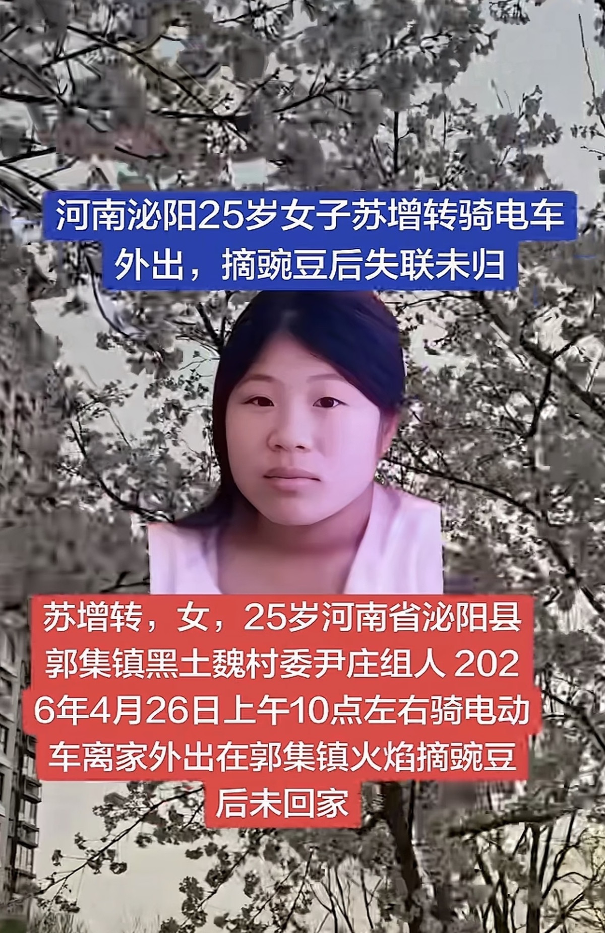 25岁女子清晨摘豌豆失联已超四天