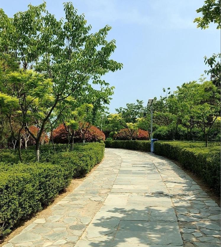青岛是一个没有人情味的地方。这是我一哥们国庆节回来说起来的事坐标黄岛银沙滩，