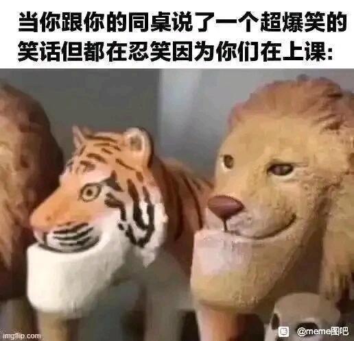 梗图笑的我腹肌没了[笑着哭]​​​
