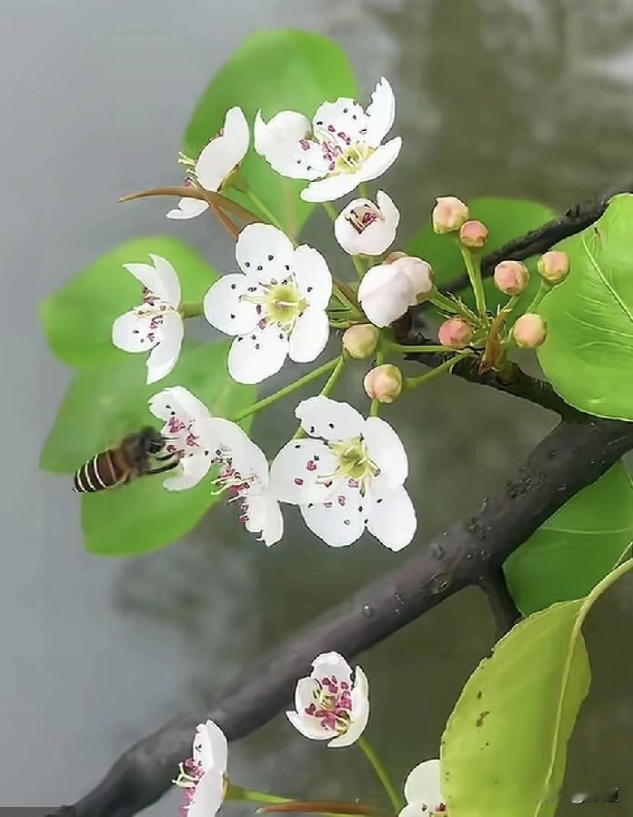 女子已离婚，前夫去世不到一百天，前大姑姐也去世了。这个前大姑姐是个老师，留下2
