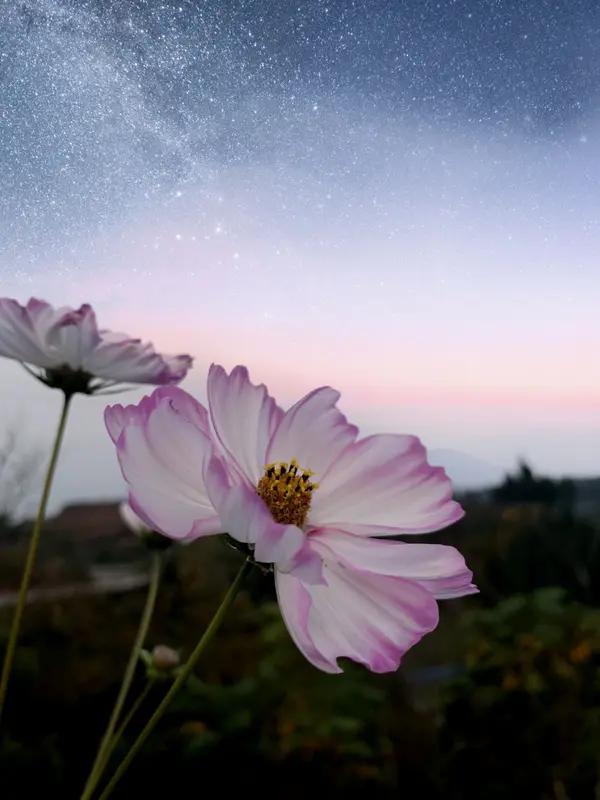 宇宙有边界吗，到底有多大？这问题困扰人类数千年，至今物理学家还在争论。我们常说直