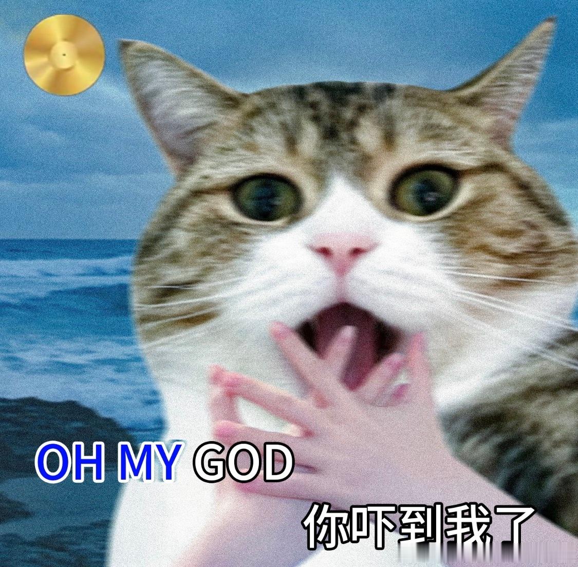 看到那个出车祸死掉的专门挑战灵异事件的网红，我是真害怕，她名字我都不敢提，根本不