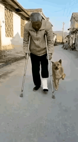 可怜的大爷前些时上山采药不小心把小腿摔骨折了，他的孩子都在城市上班，大娘也在早年