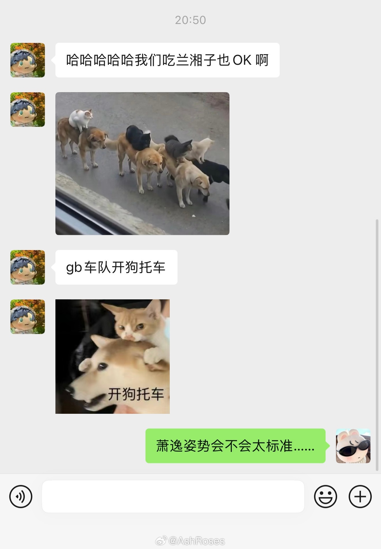 笑死我了​​​